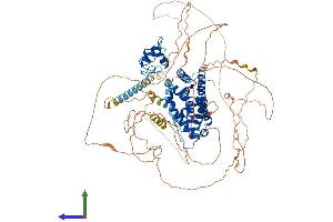 AlphaFold protein structure predicition of Human Recombinant AR Protein, UniprotID P10275