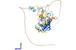 AlphaFold protein structure predicition of Mouse Recombinant Mkrn1 Protein, UniprotID Q9QXP6