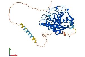 AlphaFold protein structure predicition of Mouse Recombinant Ggta1 Protein, UniprotID P23336