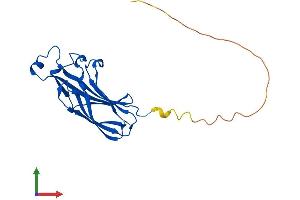 AlphaFold protein structure predicition of Human Recombinant ASF1A Protein, UniprotID Q9Y294