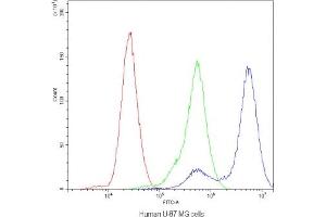 Flow cytometry testing of human U-87 MG cells with CHRNA3 antibody at 1ug/10^6 cells (blocked with goat sera) (CHRNA3 anticorps)