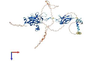 AlphaFold protein structure predicition of Human Recombinant EBF4 Protein, UniprotID Q9BQW3