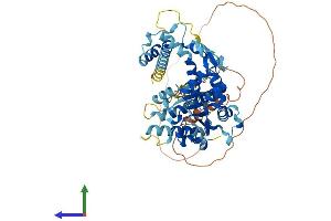 AlphaFold protein structure predicition of Human Recombinant KATNAL2 Protein, UniprotID Q8IYT4