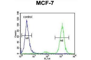CNPY2 Antibody (C-term) flow cytometric analysis of MCF-7 cells (right histogram) compared to a negative control cell (left histogram). (CNPY2/MSAP anticorps  (C-Term))