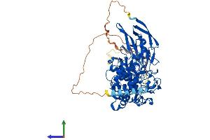 AlphaFold protein structure predicition of Mouse Recombinant Glce Protein, UniprotID Q9EPS3