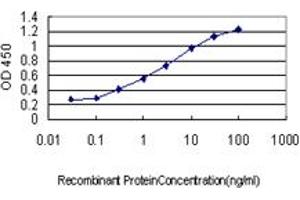 Detection limit for recombinant GST tagged MAF is approximately 0.
