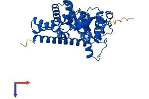 AlphaFold protein structure predicition of Mouse Recombinant Taldo1 Protein, UniprotID Q93092