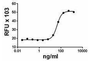 ELISA image for Tumor Necrosis Factor Receptor Superfamily, Member 11b (TNFRSF11B) (AA 22-401), (C-Term) (Active) protein (ABIN2666865)