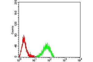 Flow cytometric analysis of Raji cells using CD140a mouse mAb (green) and negative control (red).