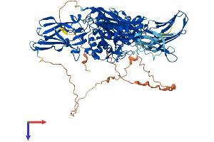 AlphaFold protein structure predicition of Human Recombinant TGM1 Protein, UniprotID P22735