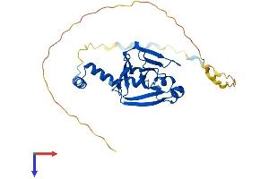 AlphaFold protein structure predicition of Human Recombinant CENPV Protein, UniprotID Q7Z7K6