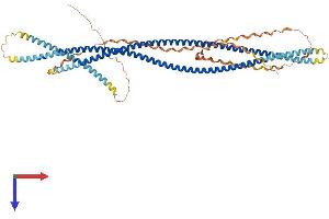 AlphaFold protein structure predicition of Mouse Recombinant Scara3 Protein, UniprotID Q8C850