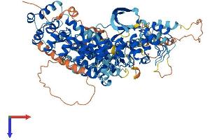 AlphaFold protein structure predicition of Human Recombinant TNNI3K Protein, UniprotID Q59H18
