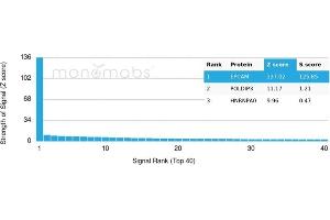 Analysis of Protein Array containing more than 19,000 full-length human proteins using EpCAM Monospecific Recombinant Mouse Monoclonal Antibody (rEGP40/1110).