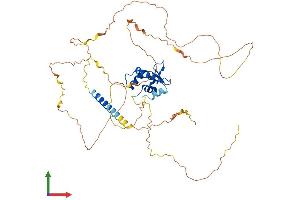AlphaFold protein structure predicition of Human Recombinant ETV1 Protein, UniprotID P50549