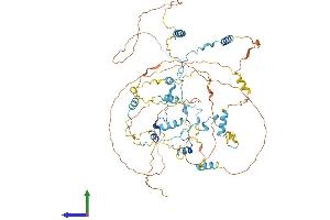AlphaFold protein structure predicition of Human Recombinant CAST Protein, UniprotID P20810