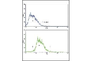 Flow cytometric analysis of HepG2 cells using SOX9 Antibody (Center)(bottom histogram) compared to a negative control cell (top histogram).