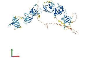 AlphaFold protein structure predicition of Human Recombinant THEMIS2 Protein, UniprotID Q5TEJ8