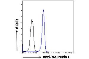 ABIN190771 Flow cytometric analysis of paraformaldehyde fixed Kelly cells (blue line), permeabilized with 0. (Neurexin 1 anticorps  (C-Term))
