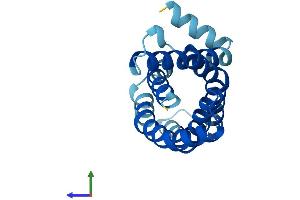 AlphaFold protein structure predicition of Mouse Recombinant Mpv17 Protein, UniprotID P19258
