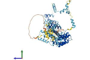 AlphaFold protein structure predicition of Human Recombinant SDAD1 Protein, UniprotID Q9NVU7