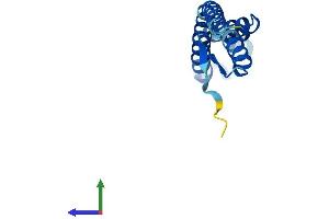 AlphaFold protein structure predicition of Human Recombinant CNEP1R1 Protein, UniprotID Q8N9A8