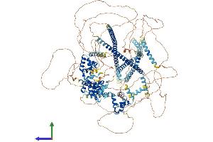 AlphaFold protein structure predicition of Human Recombinant CUX2 Protein, UniprotID O14529