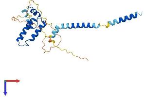AlphaFold protein structure predicition of Mouse Recombinant Dnajc30 Protein, UniprotID P59041