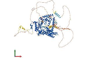 AlphaFold protein structure predicition of Human Recombinant POLK Protein, UniprotID Q9UBT6
