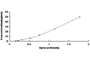Typical Standard Curve