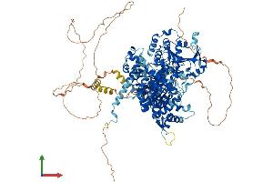 AlphaFold protein structure predicition of Mouse Recombinant Helq Protein, UniprotID Q2VPA6