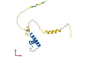 AlphaFold protein structure predicition of Mouse Recombinant Id2 Protein, UniprotID P41136