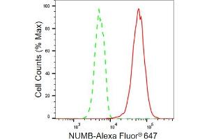 Flow cytometric analysis of NUMB expression in HT- cells using NUMB antibody (ABIN7799692), 1:2,000). (Recombinant NUMB anticorps)
