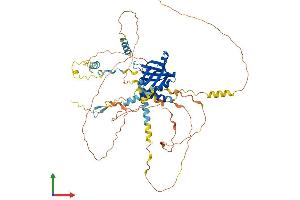 AlphaFold protein structure predicition of Mouse Recombinant Numbl Protein, UniprotID O08919