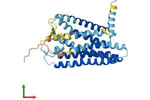 AlphaFold protein structure predicition of Human Recombinant OR13C8 Protein, UniprotID Q8NGS7