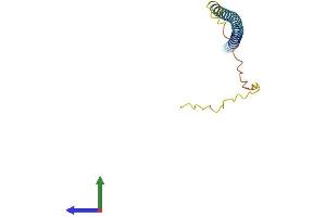 AlphaFold protein structure predicition of Human Recombinant SNCA Protein, UniprotID P37840