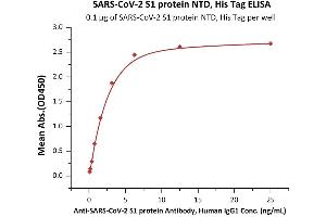 Immobilized SARS-CoV-2 S1 protein NTD, His Tag (ABIN6973255) at 1 μg/mL (100 μL/well) can bind A-CoV-2 S1 protein Antibody, human IgG1 with a linear range of 0.