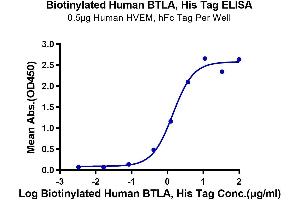 Immobilized Human HVEM, hFc Tag at 5 μg/mL (100 μL/Well) on the plate.
