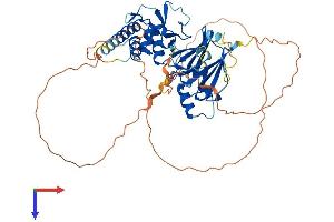 AlphaFold protein structure predicition of Human Recombinant SMAD6 Protein, UniprotID O43541