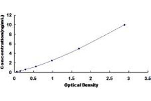 Typical standard curve (CAT2 Kit ELISA)