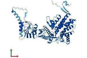 AlphaFold protein structure predicition of Human Recombinant CCT6B Protein, UniprotID Q92526
