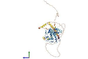 AlphaFold protein structure predicition of Human Recombinant ZKSCAN1 Protein, UniprotID P17029