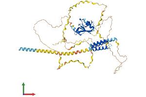 AlphaFold protein structure predicition of Mouse Recombinant Cpsf6 Protein, UniprotID Q6NVF9