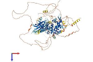 DENN/MADD Domain Containing 2C (DENND2C) (AA 1-914) protein (His tag)