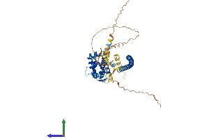 AlphaFold protein structure predicition of Human Recombinant RUNDC3B Protein, UniprotID Q96NL0