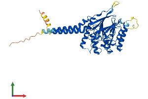 AlphaFold protein structure predicition of Mouse Recombinant Mppe1 Protein, UniprotID Q80XL7