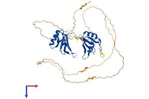 AlphaFold protein structure predicition of Mouse Recombinant Rbms2 Protein, UniprotID Q8VC70