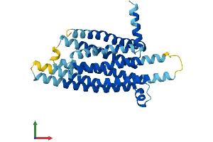 AlphaFold protein structure predicition of Human Recombinant TAS2R13 Protein, UniprotID Q9NYV9
