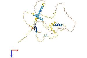 AlphaFold protein structure predicition of Human Recombinant LSP1 Protein, UniprotID P33241