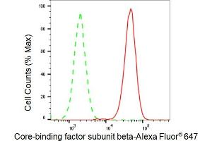 Flow cytometric analysis of Core-binding factor subunit beta expression in HAP-1 cells using Core-binding factor subunit beta antibody (ABIN7798155), 1:2,000).